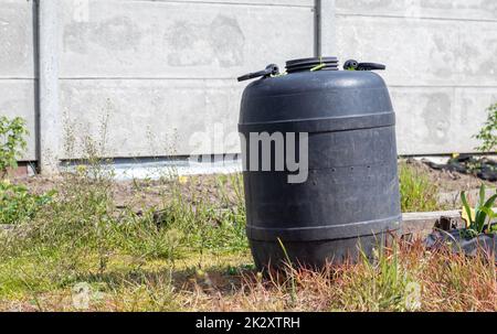 Large black plastic barrel with water in the summer garden. Rainwater tank in the garden, hot summer day. Barrels for watering the garden. Stock Photo
