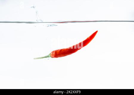 Red chilli, water splashes, solated on a white background Stock Photo