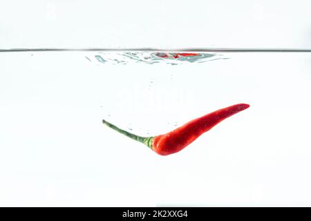 Red chilli, water splashes, solated on a white background Stock Photo