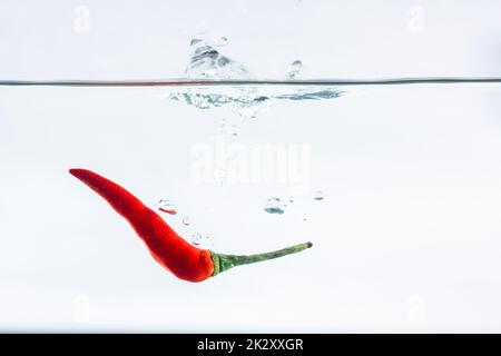 Red chilli, water splashes, solated on a white background Stock Photo