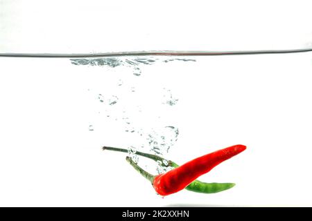Red chilli, water splashes, solated on a white background Stock Photo