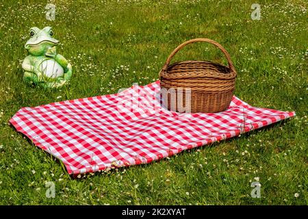 Red checked picnic blanket with empty basket on a meadow with daisies in bloom. Beautiful backdrop for your product placement or montage. Frog in background. Stock Photo