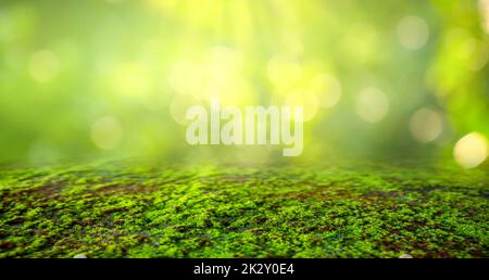 Green Moss background, mossy texture Stock Photo
