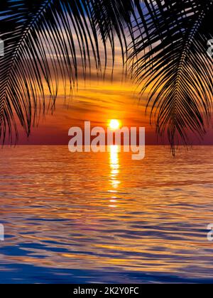 Premium Photo  Dark palm trees silhouettes on colorful tropical ocean  sunset background