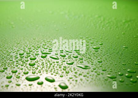 Water drops on green surface Stock Photo