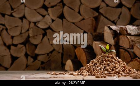 Green leaf on wooden pellets and firewood in storage Stock Photo