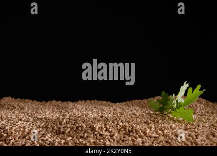 Green tree leaves on stack of fuel pellets Stock Photo