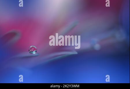 Beautiful Macro Shot of Magic Flowers.Border Art Design.Magic Light.Extreme Close up Photography.Conceptual Abstract Image.Violet and Blue Background.Fantasy Art.Creative Wallpaper.Beautiful Nature Background.Amazing Spring Flower.Water Drop.Copy Space. Stock Photo