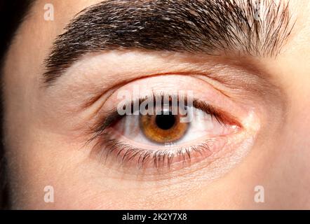 Image of man's brown eye close up. Insightful look Stock Photo
