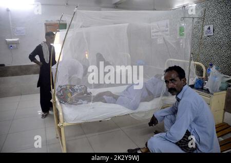 Hyderabad, Pakistan. 23rd Sep, 2022. Dengue Virus and Malaria patients are being treated in isolation ward established at Civil Hospital in Hyderabad on Friday, September 23, 2022. In the wake of an alarming surge in cases of dengue fever in Karachi and other parts of the province, the Sindh government reserved 44 special wards in different hospitals for treatment of the increasing number of patients. Credit: Asianet-Pakistan/Alamy Live News Stock Photo