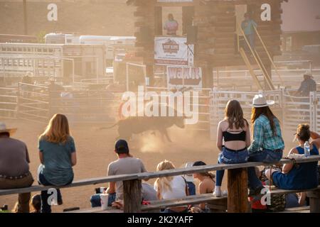 Spectators sitting on wooden benches watch the bull riding event at the ...