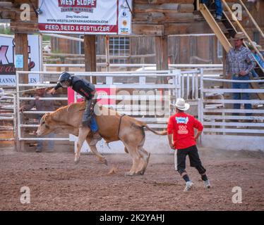 A cowboy in a helmet and protective clothing tries to stay on the bull for as long as possible at a Rodeo in Colarado USA Stock Photo