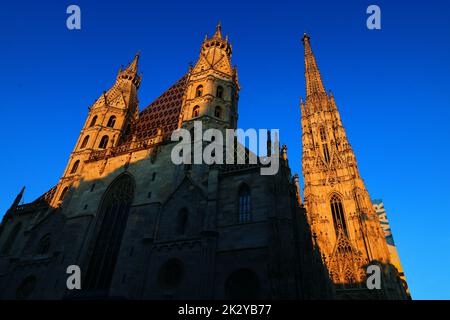 Gotik, Kirche, Figuren, Österreich, Wien Kirche, Wien Dom, Stephansdom, er ist das Wahrzeichen von Wien Stock Photo