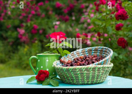 Many rose hips in a basket Stock Photo