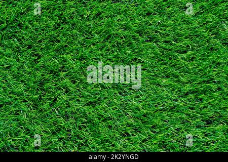 Abstract background, texture green grass and artificial lawn Stock Photo