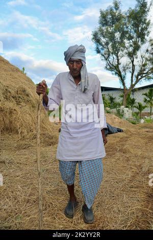 1 Indian Farmer Standing in Farm Stock Photo - Alamy