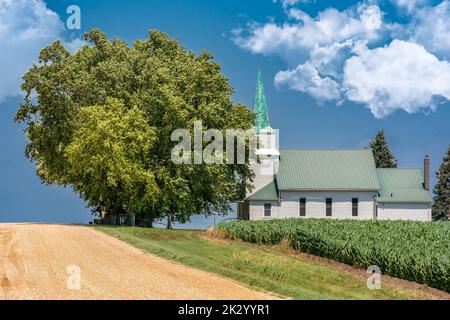 White church next to corn field in southwest Minnesota. Stock Photo