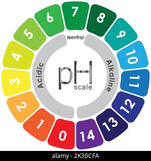 https://l450v.alamy.com/450v/2k30cfa/acidic-and-alkaline-solution-ph-value-scale-chart-infographic-balance-of-acid-base-colorful-symbol-vector-illustration-2k30cfa.jpg