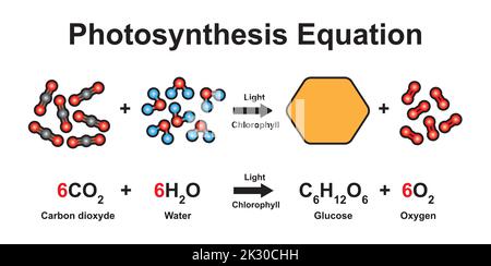 Scientific Designing of Photosynthesis Equation. Using The Molecular ...