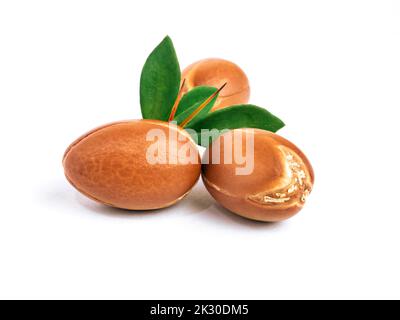 Argan nuts with green leaves on isolated white background. Moroccan Argania Spinosa seeds for the production of oil Stock Photo