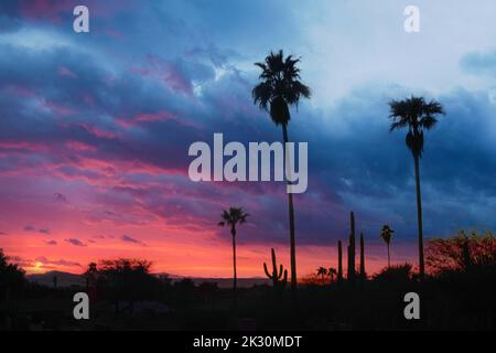 A sunset in phoenix arizona Stock Photo