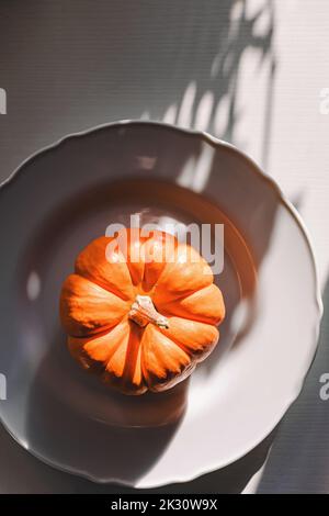 Minimalist table setting in natural light. Decorative pumpkin on the white plate, top view Stock Photo
