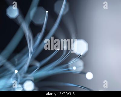 Optical fibers against gray background Stock Photo