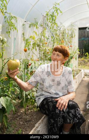 Senior woman examining a vegetable plant Stock Photo - Alamy