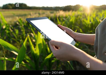 Close-up of woman holding digital tablet in field Stock Photo