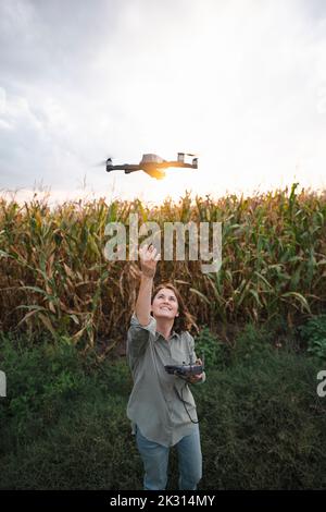 Woman with remote control operating drone in maize field Stock Photo