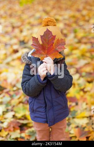Boy hiding face with maple leaf in forest Stock Photo - Alamy