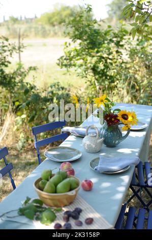 Autumn decorated table set in garden Stock Photo