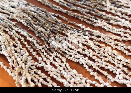 prepared threads with seashells for decorating and handmade in vietnam Stock Photo