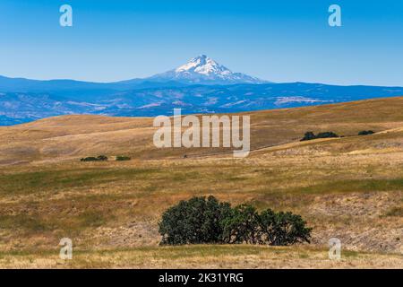 Scenic countryside view with Mt. Hood, The Dalles, Oregon, USA Stock Photo