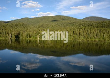 The Pend-Oreille River, a tributary of the Columbia, running through the Colville National Forest in northeastern Washington State, USA. Stock Photo