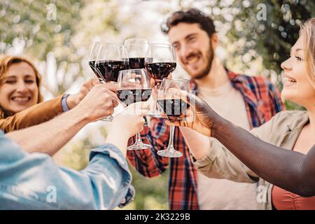 Hands toast with red wine - People having fun cheering outside at pic-nic winetasting - Young friends enjoying harvest time together at farmhouse vine Stock Photo