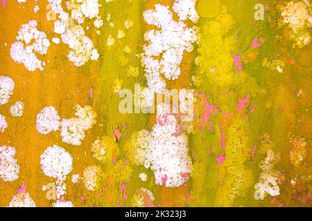 fungi on a metallic outdoor paddy container in rural village in Bangladesh. it growers in tropical Rainey season and make natural texture. Stock Photo