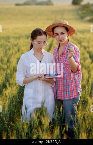 Young female lab technician in white coat and female farmer checking harvest progress on tablet in green wheat field. A new crop of wheat is growing. Stock Photo