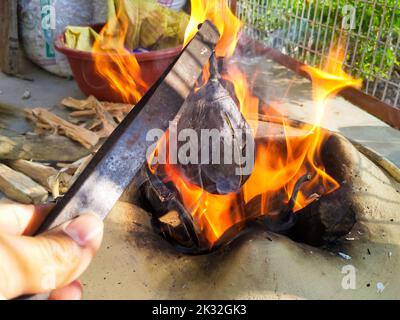 Roasting eggplant using iron tweezers on a traditional firewood stove. Uttarakhand India Stock Photo