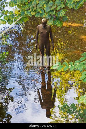 Stockbridge, Edinburgh Scotland, UK. 24th September 2022. Morning sunshine after a cloudy start to the day, temperature mid morning around 9 degrees rising to 13 degrees by lunchtime. Pictured: At Stockbridge, one of the six 'Six Times' Anthony Gormley statues cited in or near the water of Leith. Credit: Arch White/alamy live news. Stock Photo