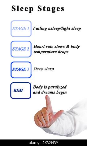 Man Presenting Four Sleep Stages Stock Photo - Alamy