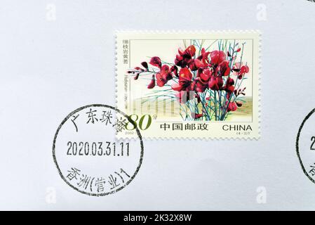 CHINA - CIRCA 2002: A stamps printed in China shows Desert Plants -  Hedysarum scoparium, circa 2002. Stock Photo