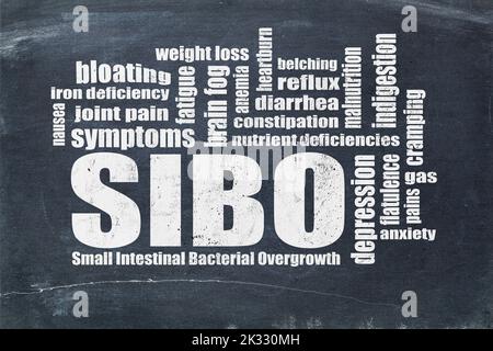 SIBO (small intestinal bacterial overgrowth) symptoms - word cloud with white chalk text on a blackboard, gut health concept Stock Photo