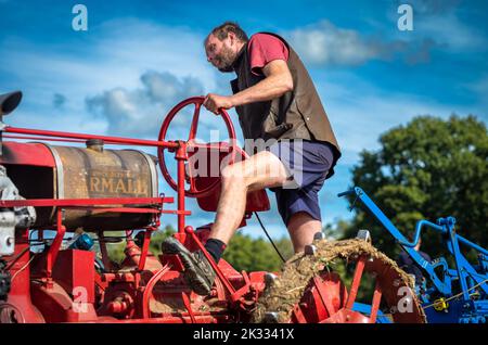 A competitor in a traditional farming ploughing match stands on his vintage Farmall F30 tractor as he ploughs his area at Oakhurst Farm, near Billingshurst, 24 Sep, 2022. Ploughing matches are popular within British rural and farming communities and are found taking place each autumn after harvest is completed. Credit: Andy Soloman/Alamy Live News Stock Photo