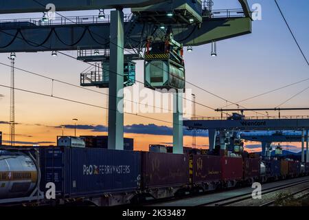 Wien, Vienna: moving gantry cranes in container terminal of port Freudenau, company WienCont, railway line,  transshipment road to rail and vice versa Stock Photo