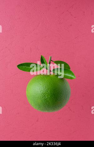 green skin orange fruit with leaves on red textured background, high vitamin C citrus fruit, space for text Stock Photo