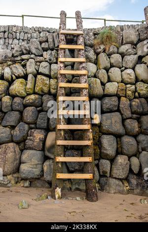 Rustic ladder Stock Photo