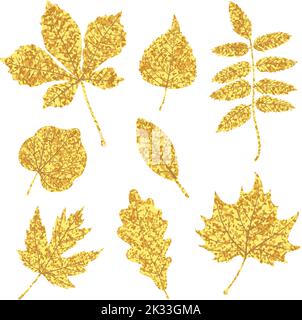 Set of glittering golden leaves isolated on white. Vector illustration Stock Vector