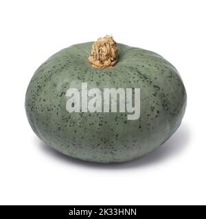 Single French Crown prince Pumpkin close up isolated on white background Stock Photo