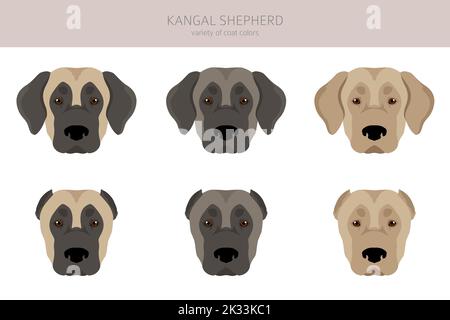 Kangal Shepherd dog clipart. Different coat colors set.  Vector illustration Stock Vector